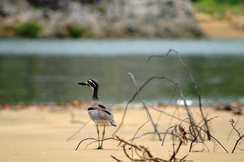 1770 Coastline Tour By LARC Amphibious Vehicle Including Picnic Lunch - Holiday Jervis Bay 3
