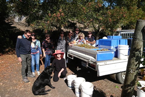 Valleys Of Vino Tour - Holiday Jervis Bay 1