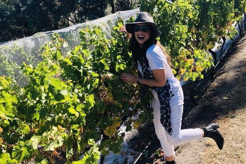 Valleys Of Vino Tour - Holiday Jervis Bay 3