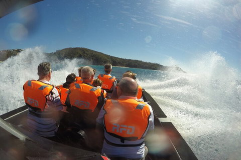 Noosa Thriller - 500hp Ocean Adventure Ride - Holiday Jervis Bay 3