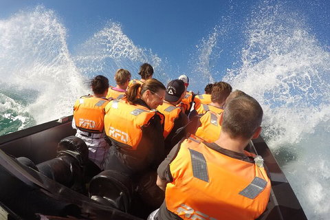 Noosa Thriller - 500hp Ocean Adventure Ride - Holiday Jervis Bay 4