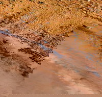 Scenic Flight Lizard Safari - Holiday Jervis Bay