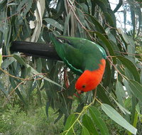 3-Day Private Adelaide to Melbourne tour - Holiday Jervis Bay
