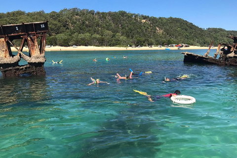All Inclusive Dolphin And Tangalooma Wrecks Cruise - Holiday Jervis Bay 0
