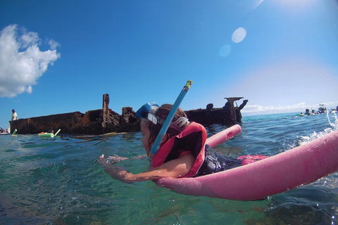All Inclusive Dolphin And Tangalooma Wrecks Cruise - Holiday Jervis Bay 2