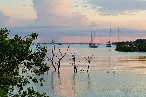 Tropical Light Sundowner Cruise With Drinks Included - Holiday Jervis Bay 2