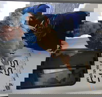 3/4 Day 7 Hour Offshore Fishing Charter