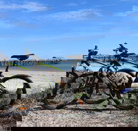 Adelaide City to Sea Bike Tour - Holiday Jervis Bay