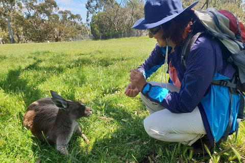 Mount Lofty Hike And Cleland Wildlife Park Day Trip From Adelaide - Holiday Jervis Bay 1