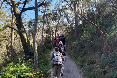 Mount Lofty Hike And Cleland Wildlife Park Day Trip From Adelaide - Holiday Jervis Bay 3