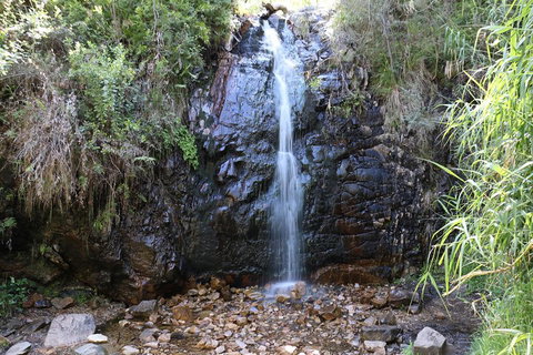 Mount Lofty Hike And Cleland Wildlife Park Day Trip From Adelaide - Holiday Jervis Bay 4