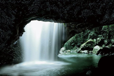 Natural Bridge Glow Worm Night Tour From Gold Coast - Holiday Jervis Bay 0