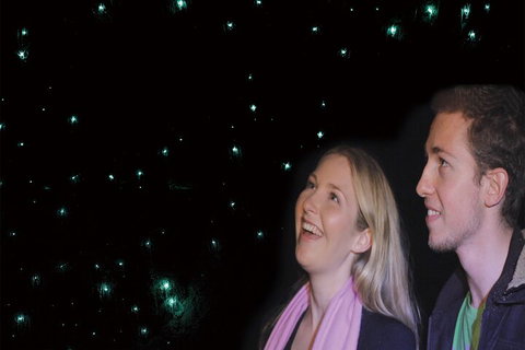 Natural Bridge Glow Worm Night Tour From Gold Coast - Holiday Jervis Bay 3