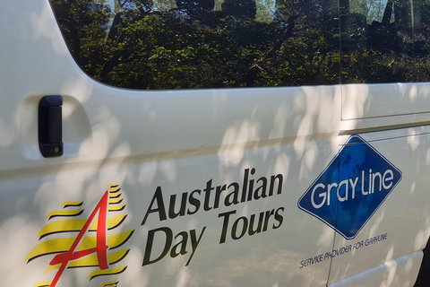 Natural Bridge Glow Worm Night Tour From Gold Coast - Holiday Jervis Bay 5
