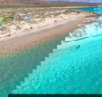 Ningaloo in a Day - Full Day Hike and Snorkel Tour with Lunch - Holiday Jervis Bay
