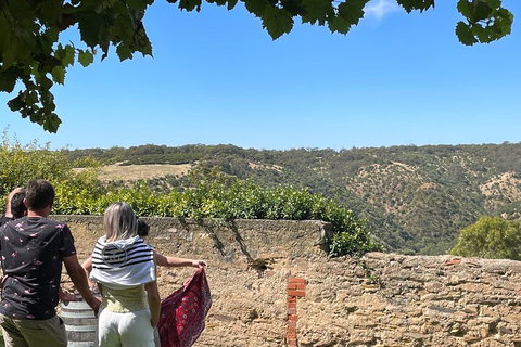 Private Mclaren Vale Wine Tour - Holiday Jervis Bay 2