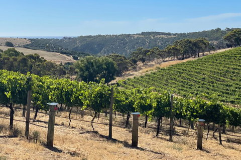 Private Mclaren Vale Wine Tour - Holiday Jervis Bay 3
