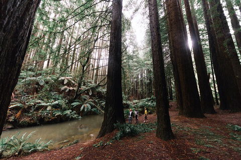 LGBT+ Friendly 3 Day Private Tour Great Ocean Road & Phillip Island - Holiday Jervis Bay 2