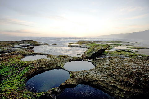 LGBT+ Friendly 3 Day Private Tour Great Ocean Road & Phillip Island - Holiday Jervis Bay 5