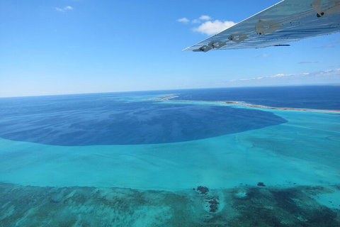 Shipwreck Special Full Day Tour Of The Abrolhos Islands - Holiday Jervis Bay 2
