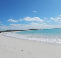 Shipwreck Special Nature Tour/Half Day Tour - Holiday Jervis Bay