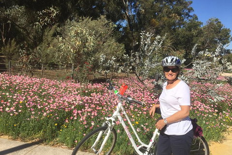 Perth Bike Tour - Beautiful Matilda Bay And Kings Park - Holiday Jervis Bay 1