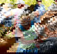 Tiwi Islands Cultural Experience from Darwin Including Ferry - Holiday Jervis Bay