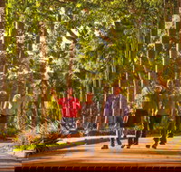 Darwin City Sights and Jumping Crocodile Cruise - Holiday Jervis Bay