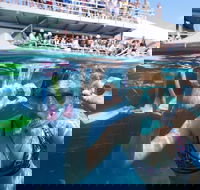 Great Barrier Reef Day Cruise from Cairns Including Snorkeling and Marine Biologist Presentation - Holiday Jervis Bay