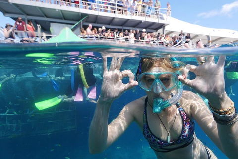 Great Barrier Reef Day Cruise From Cairns Including Snorkeling And Marine Biologist Presentation - Holiday Jervis Bay 0