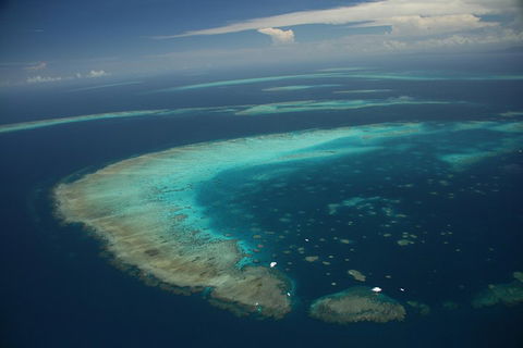 Great Barrier Reef Day Cruise From Cairns Including Snorkeling And Marine Biologist Presentation - Holiday Jervis Bay 1