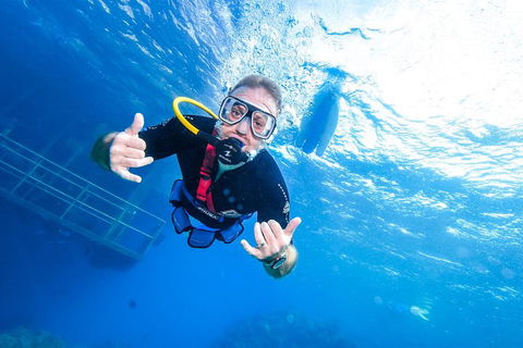 Great Barrier Reef Day Cruise From Cairns Including Snorkeling And Marine Biologist Presentation - Holiday Jervis Bay 3