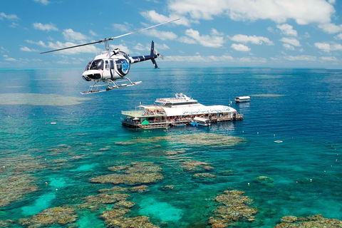 Great Barrier Reef Day Cruise From Cairns Including Snorkeling And Marine Biologist Presentation - Holiday Jervis Bay 5