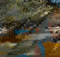 Kayak Tour in Adelaide Dolphin Sanctuary - Holiday Jervis Bay