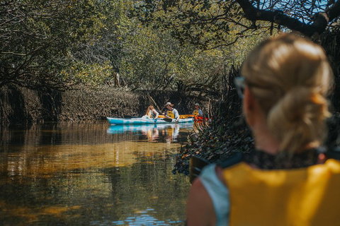 Kayak Tour In Adelaide Dolphin Sanctuary - Holiday Jervis Bay 0
