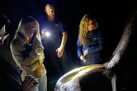 Evening Rainforest & Glow Worm Experience - Holiday Jervis Bay 2