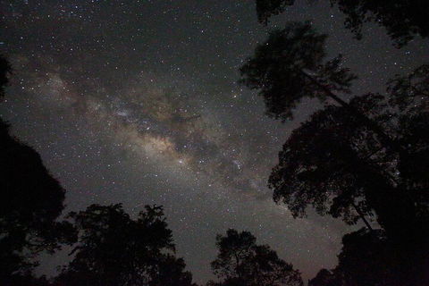 Evening Rainforest & Glow Worm Experience - Holiday Jervis Bay 4