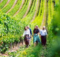 Tasmanian Wine Tour - Holiday Jervis Bay