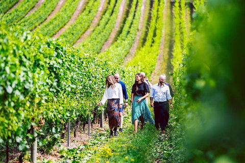 Tasmanian Wine Tour - Holiday Jervis Bay 0