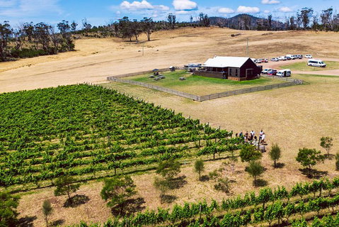 Tasmanian Wine Tour - Holiday Jervis Bay 3