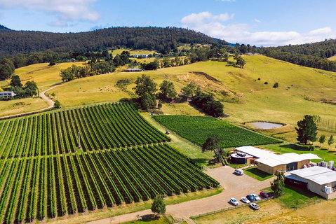 Tasmanian Wine Tour - Holiday Jervis Bay 4
