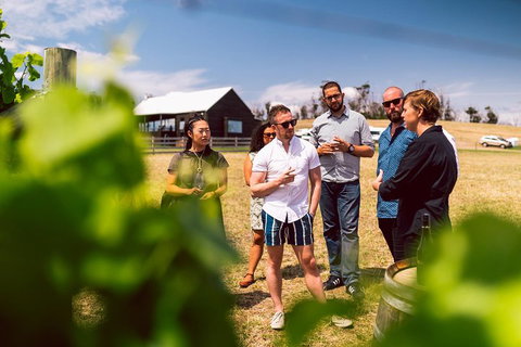 Tasmanian Wine Tour - Holiday Jervis Bay 5