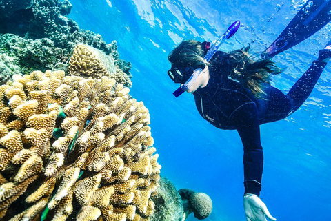 Green Island Day Trip From Cairns - Holiday Jervis Bay 1