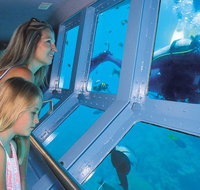 Quicksilver Outer Great Barrier Reef Snorkel Cruise from Palm Cove - Holiday Jervis Bay