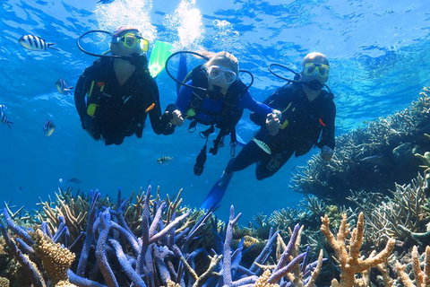 Quicksilver Outer Great Barrier Reef Snorkel Cruise From Palm Cove - Holiday Jervis Bay 3