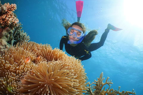 Quicksilver Outer Great Barrier Reef Snorkel Cruise From Port Douglas - Holiday Jervis Bay 2