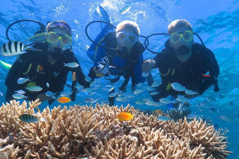 Quicksilver Outer Great Barrier Reef Snorkel Cruise From Port Douglas - Holiday Jervis Bay 4