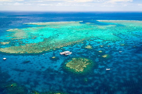 Quicksilver Outer Great Barrier Reef Snorkel Cruise From Port Douglas - Holiday Jervis Bay 5