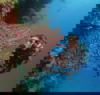 Silversonic Outer Great Barrier Reef Dive and Snorkel Cruise from Port Douglas - Holiday Jervis Bay