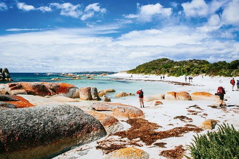 Wineglass Bay Private Charter Service - Holiday Jervis Bay 3